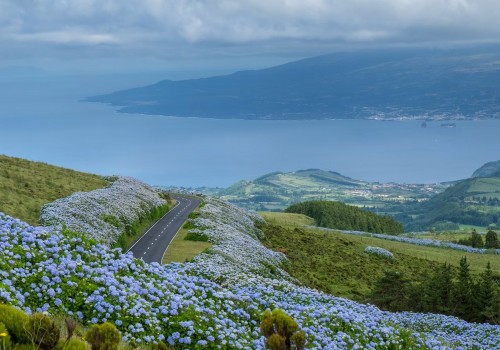 Fibrenamics Launches Innovative Project to Protect the Biodiversity of the Azores Islands