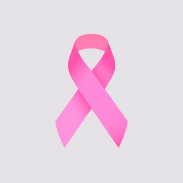 Newsletter nº4 - Fibras no combate ao Cancro da Mama