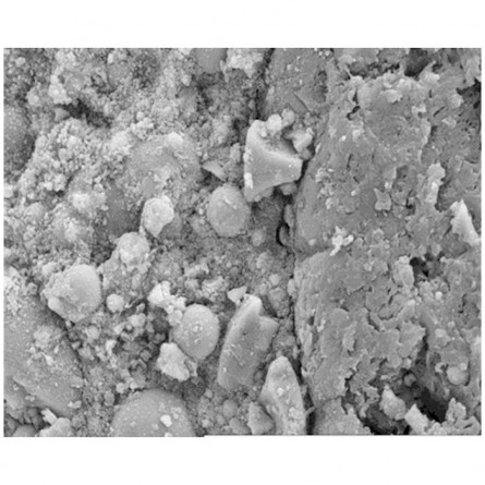 Investigation of the interfacial bonding between Natural Fibres and various Cementitious Matrices in Mortar Composites