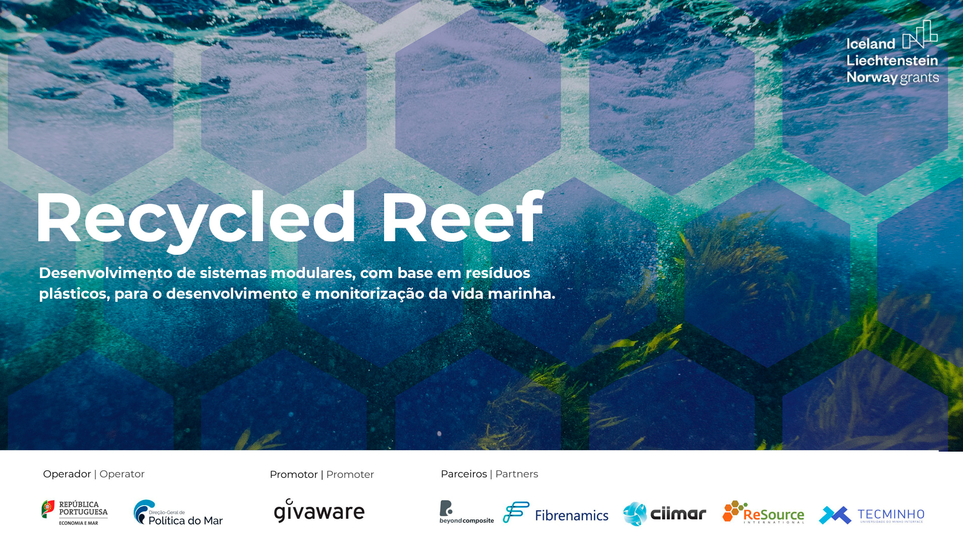 Recycled Reef